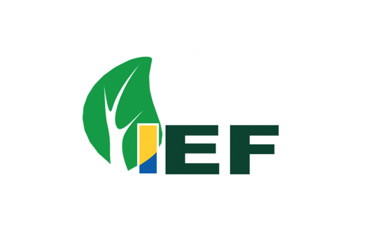 IEF